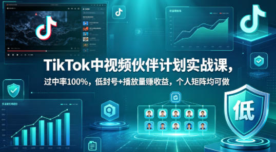 TikTok中视频伙伴计划实战课，过中率100%，低封号+播放量賺收益，个人矩阵均可做-柚子网创