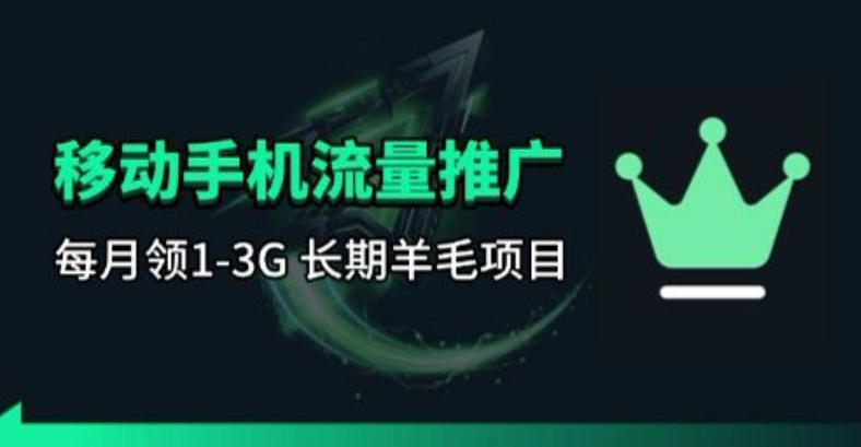 手机流量领取推广_每月一轮，刚需类的长期项目-柚子网创