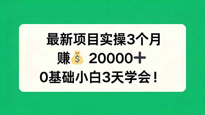 最新项目实操3个月，赚钱20000+，0基础小白3天学会！-柚子网创