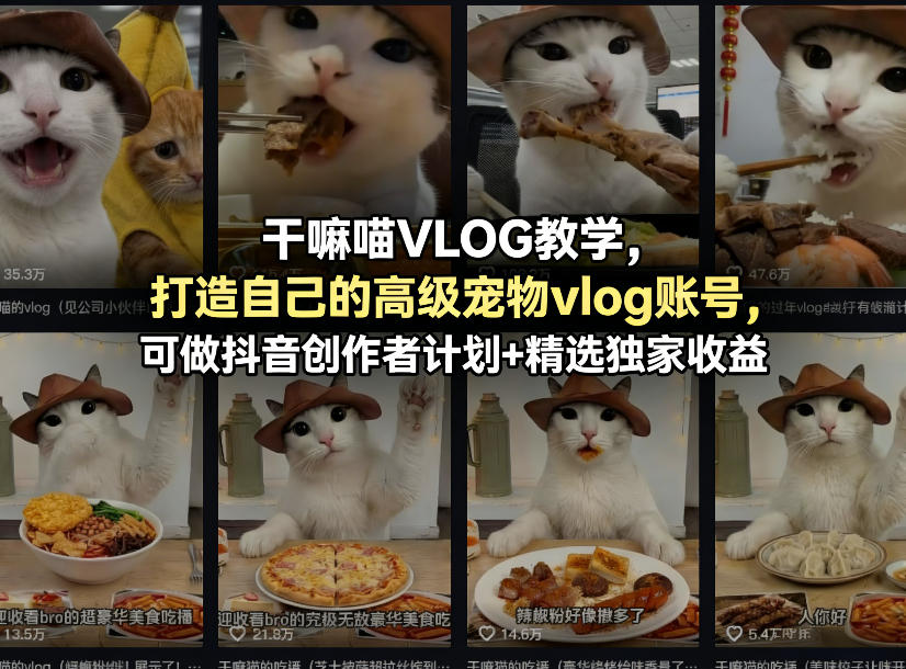 干嘛喵VLOG教学，打造自己的高级宠物vlog账号，可做抖音创作者计划+精选独家收益-柚子网创