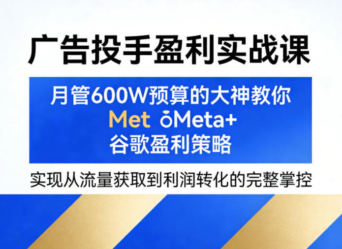 广告投手盈利实战课，月管600W预算的大神教你Meta+谷歌盈利策略，实现从流量获取到利润转化的完整掌控-柚子网创