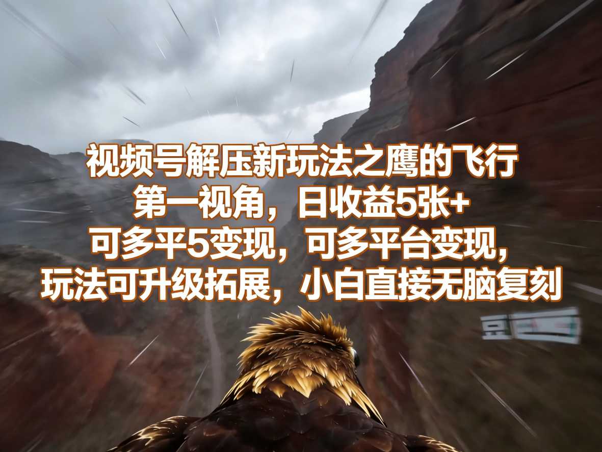 视频号解压新玩法之鹰的飞行第一视角，日收益5张+，可多平台变现，玩法可升级拓展，小白直接无脑复刻-柚子网创