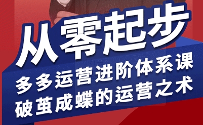 拼多多运营进阶系统课，从零起步，多多运营进阶体系课，破茧成蝶的运营之术（更新26年4月）-柚子网创